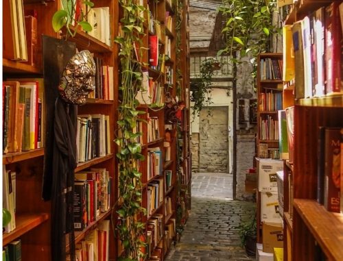 Pasillo de una librería rústica con estanterías de madera, plantas colgantes y suelo de adoquines que evocan un refugio de paz.
